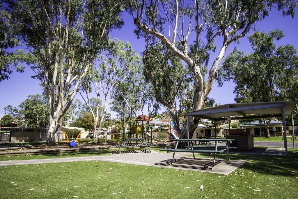 Big4 Mannum Holiday Park Exteriör bild
